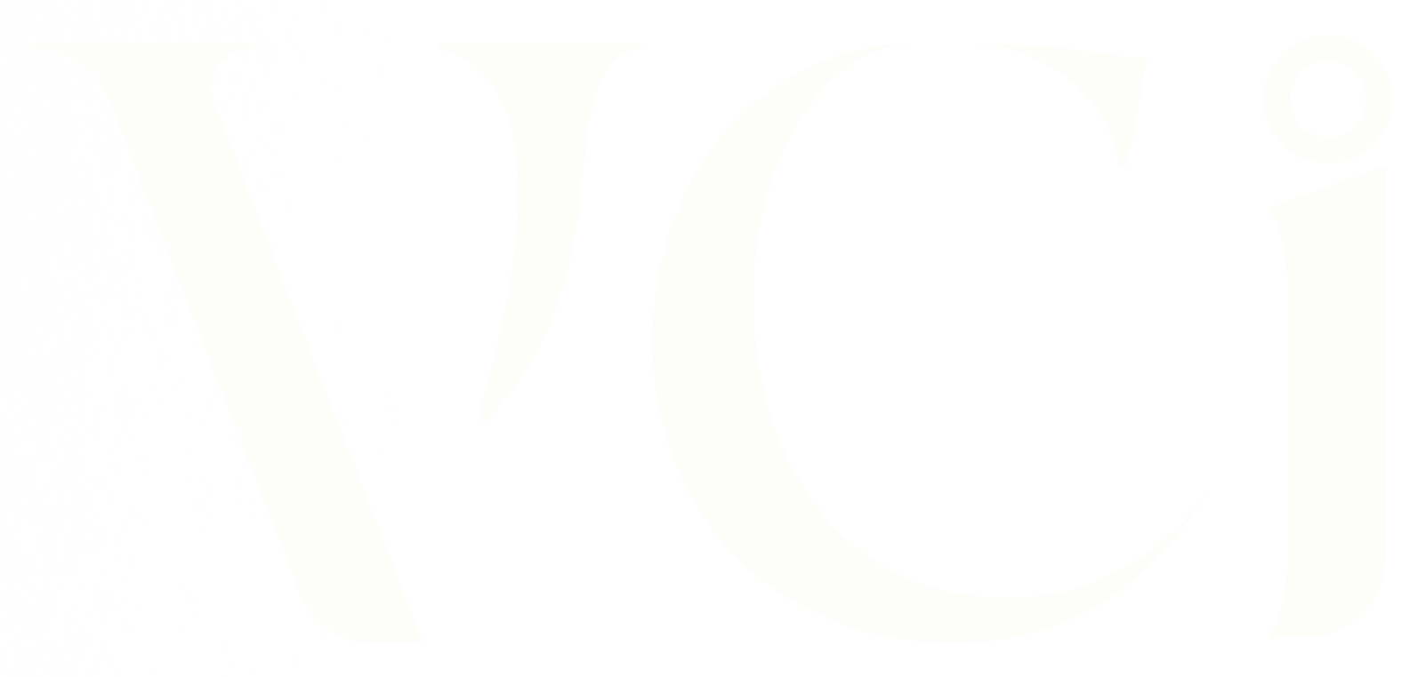 VCI — Vision Commerce Infrastructure